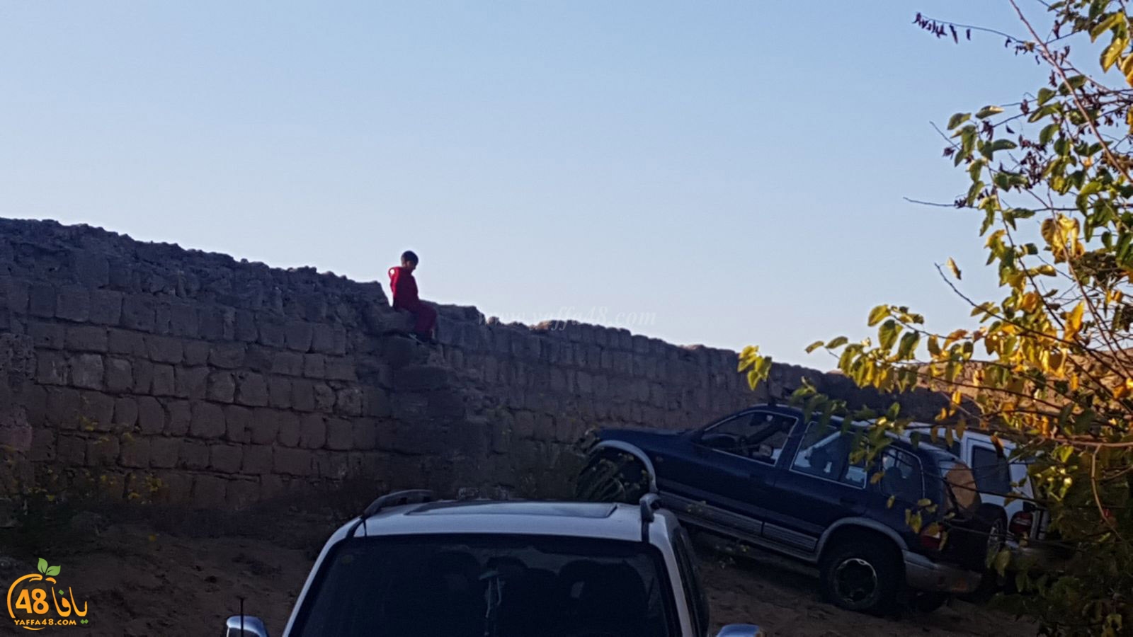 robenerejq (19).jpeg